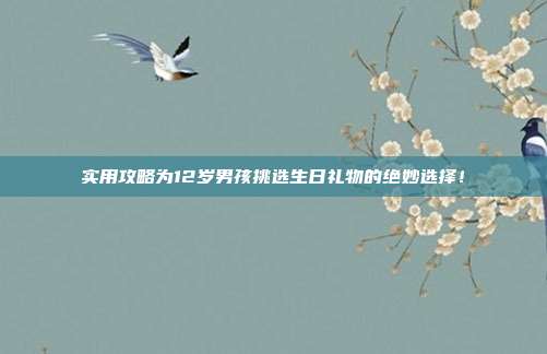 实用攻略为12岁男孩挑选生日礼物的绝妙选择！