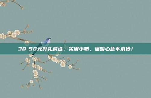 30-50元好礼精选，实用小物，温暖心意不求贵！