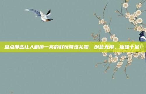 盘点那些让人眼前一亮的好玩奇怪礼物，创意无限，趣味十足！