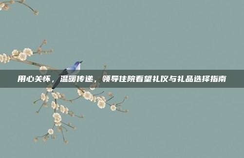 用心关怀，温暖传递，领导住院看望礼仪与礼品选择指南