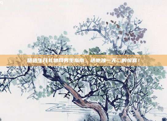 精选生日礼物网男生指南，送他独一无二的惊喜！