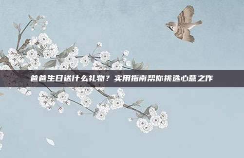 爸爸生日送什么礼物？实用指南帮你挑选心意之作