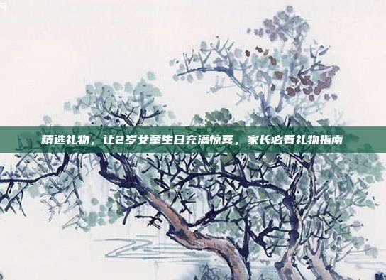 精选礼物，让2岁女童生日充满惊喜，家长必看礼物指南