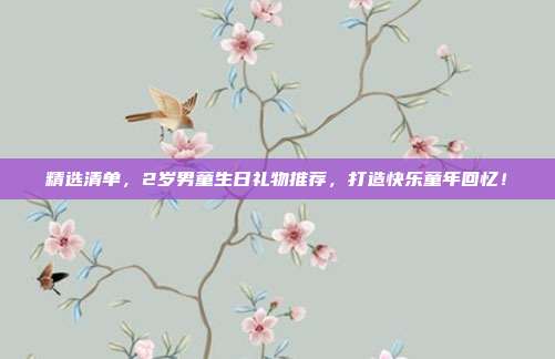 精选清单，2岁男童生日礼物推荐，打造快乐童年回忆！