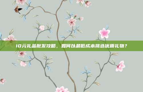 10元礼品批发攻略，如何以最低成本挑选优质礼物？