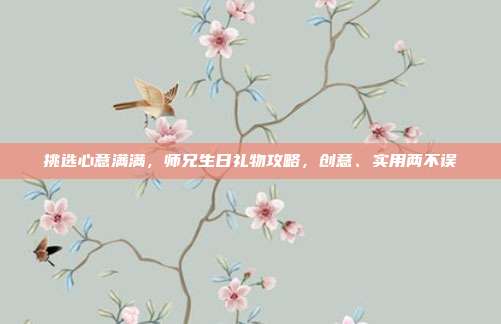 挑选心意满满，师兄生日礼物攻略，创意、实用两不误