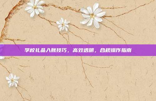 学校礼品入账技巧，高效透明，合规操作指南