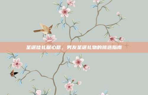 圣诞佳礼献心意，男友圣诞礼物的挑选指南