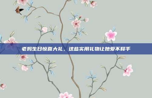 老妈生日惊喜大礼，这些实用礼物让她爱不释手