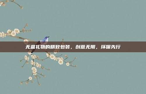 无盒礼物的精致包装，创意无限，环保先行