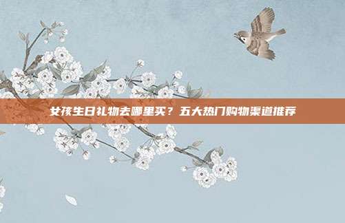 女孩生日礼物去哪里买？五大热门购物渠道推荐