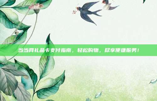 当当网礼品卡支付指南，轻松购物，尽享便捷服务！