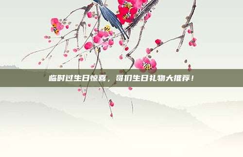 临时过生日惊喜，哥们生日礼物大推荐！