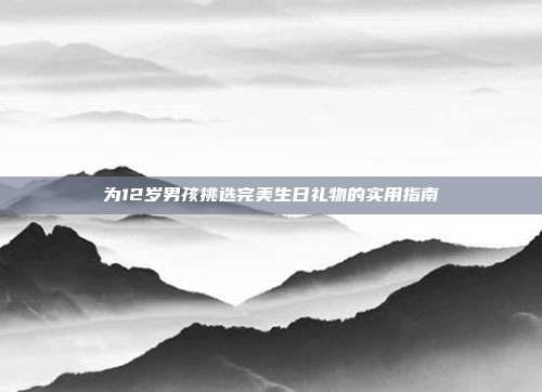 为12岁男孩挑选完美生日礼物的实用指南