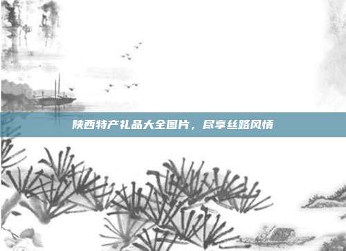 陕西特产礼品大全图片，尽享丝路风情