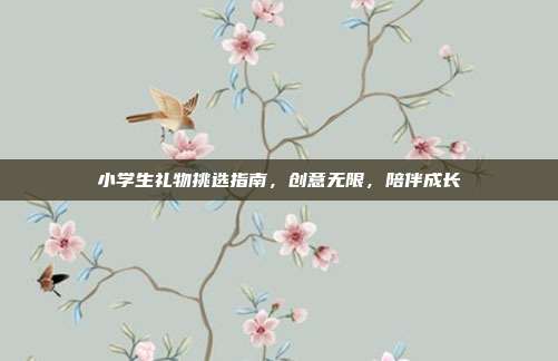 小学生礼物挑选指南，创意无限，陪伴成长