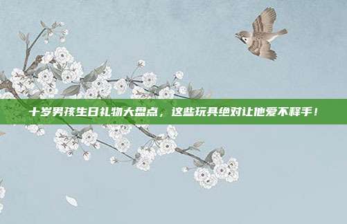 十岁男孩生日礼物大盘点，这些玩具绝对让他爱不释手！