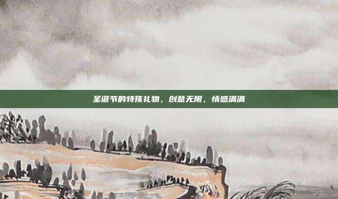 圣诞节的特殊礼物，创意无限，情感满满