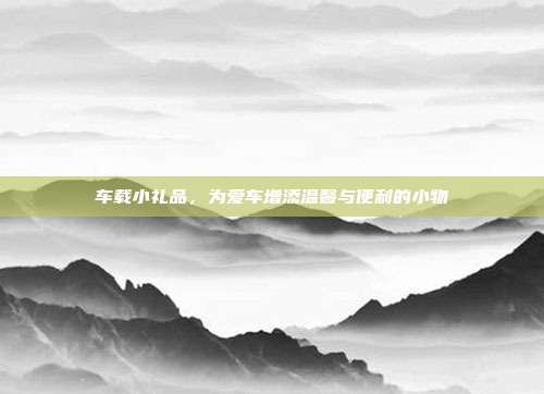 车载小礼品，为爱车增添温馨与便利的小物