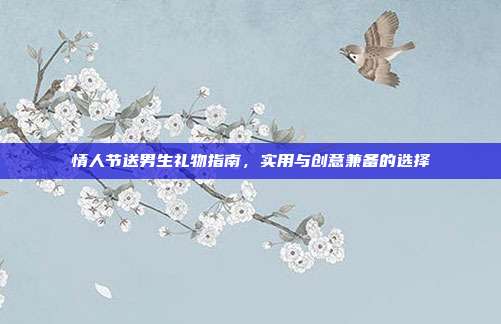 情人节送男生礼物指南，实用与创意兼备的选择