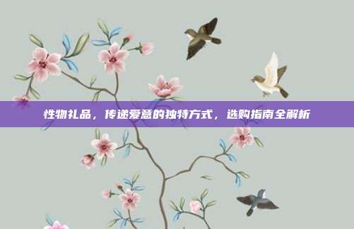 性物礼品，传递爱意的独特方式，选购指南全解析