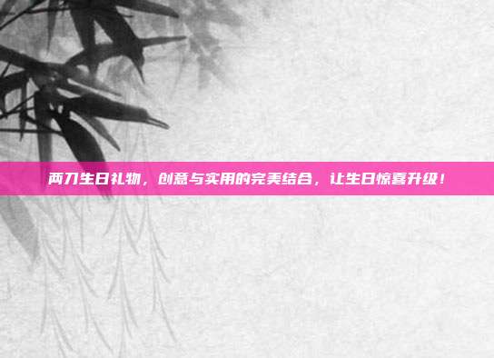 两刀生日礼物，创意与实用的完美结合，让生日惊喜升级！