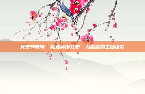 父亲节特辑，挑选实用礼物，为爸爸的生活添彩