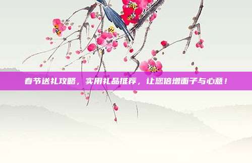 春节送礼攻略，实用礼品推荐，让您倍增面子与心意！