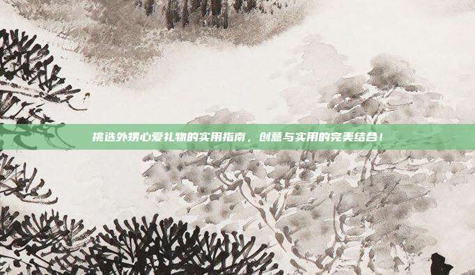 挑选外甥心爱礼物的实用指南，创意与实用的完美结合！