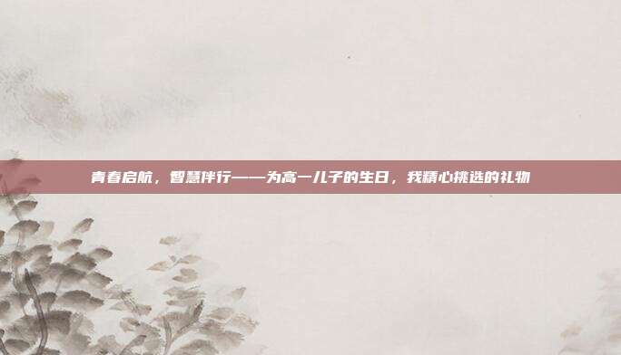 青春启航，智慧伴行——为高一儿子的生日，我精心挑选的礼物