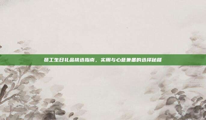 员工生日礼品挑选指南，实用与心意兼备的选择秘籍
