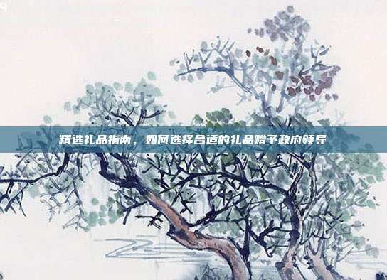 精选礼品指南，如何选择合适的礼品赠予政府领导