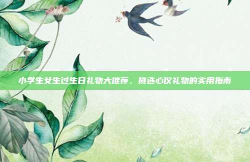 小学生女生过生日礼物大推荐，挑选心仪礼物的实用指南