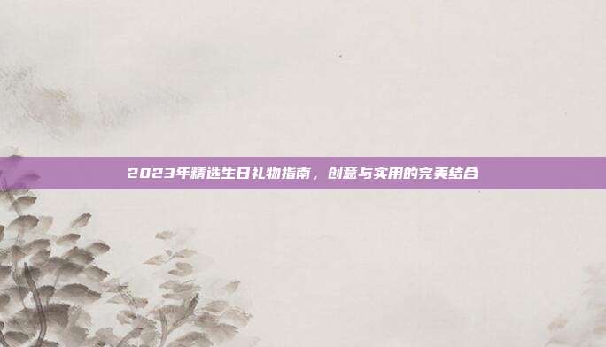 2023年精选生日礼物指南，创意与实用的完美结合