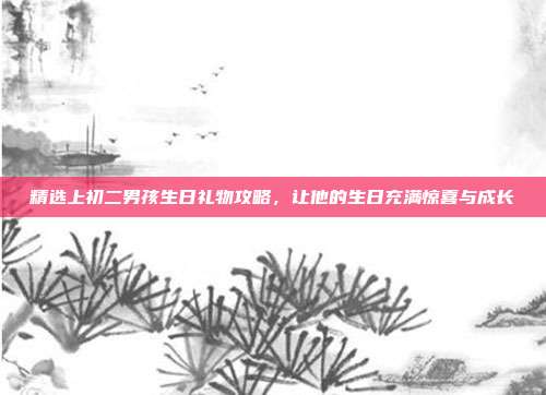 精选上初二男孩生日礼物攻略，让他的生日充满惊喜与成长