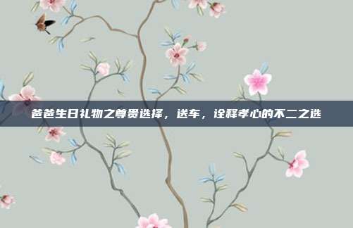 爸爸生日礼物之尊贵选择，送车，诠释孝心的不二之选