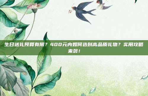 生日送礼预算有限？400元内如何选到高品质礼物？实用攻略来袭！
