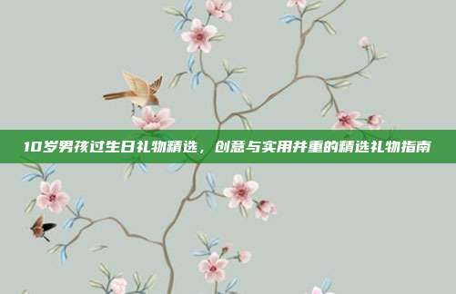 10岁男孩过生日礼物精选，创意与实用并重的精选礼物指南