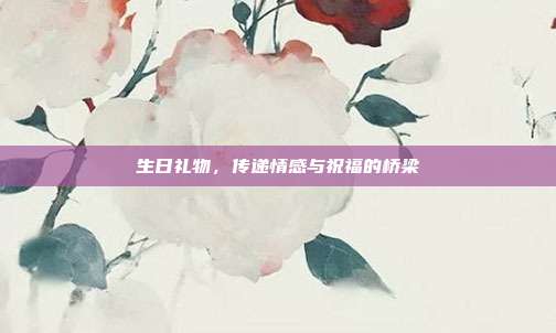 生日礼物，传递情感与祝福的桥梁