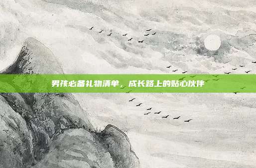 男孩必备礼物清单，成长路上的贴心伙伴
