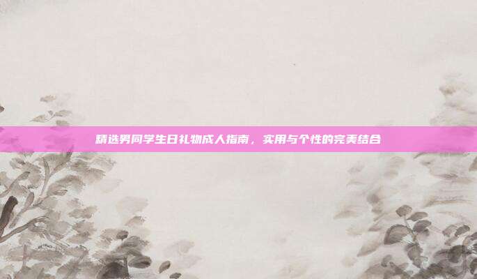 精选男同学生日礼物成人指南，实用与个性的完美结合