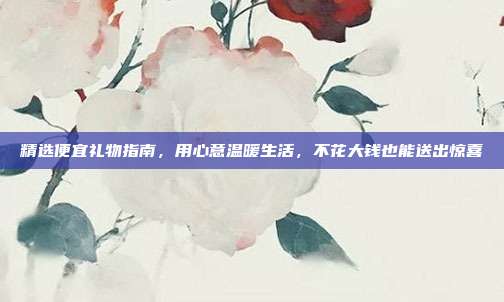 精选便宜礼物指南，用心意温暖生活，不花大钱也能送出惊喜