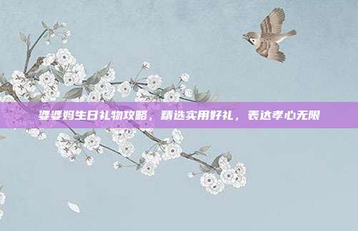 婆婆妈生日礼物攻略，精选实用好礼，表达孝心无限