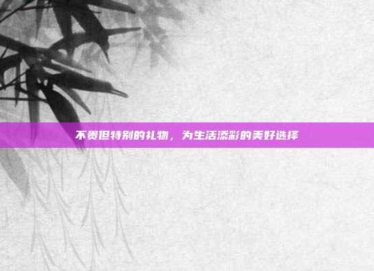 不贵但特别的礼物，为生活添彩的美好选择