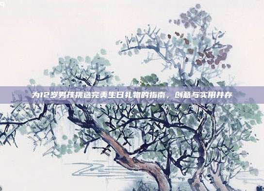 为12岁男孩挑选完美生日礼物的指南，创意与实用并存