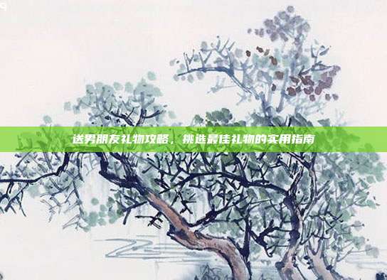 送男朋友礼物攻略，挑选最佳礼物的实用指南