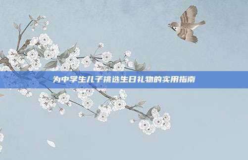 为中学生儿子挑选生日礼物的实用指南