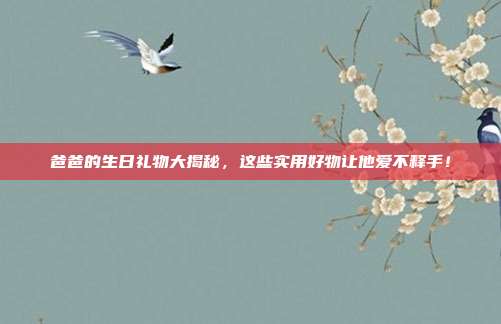 爸爸的生日礼物大揭秘，这些实用好物让他爱不释手！