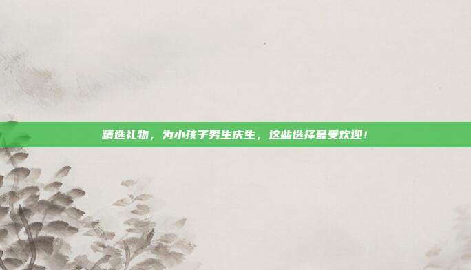 精选礼物，为小孩子男生庆生，这些选择最受欢迎！
