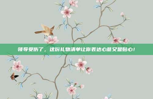 领导受伤了，这份礼物清单让你表达心意又显贴心！